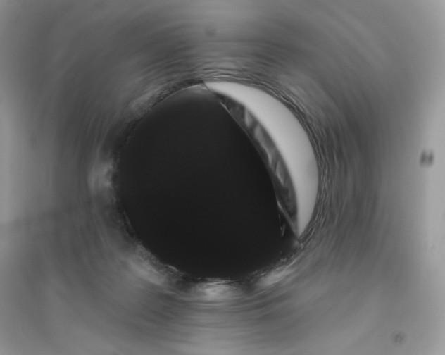 X0000096130219200802011155