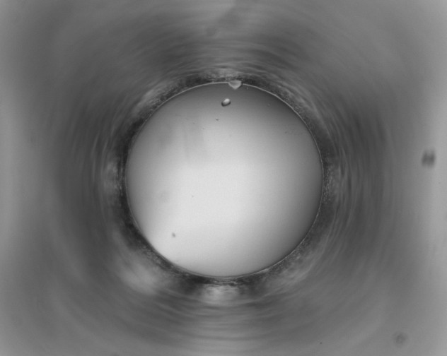 X0000096130220200802011155