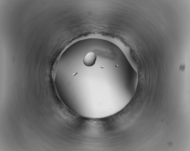 X0000096130221200802011155