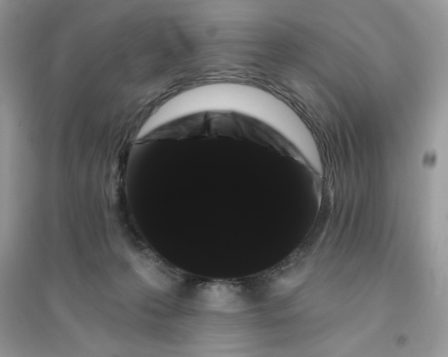 X0000096130223200802011155
