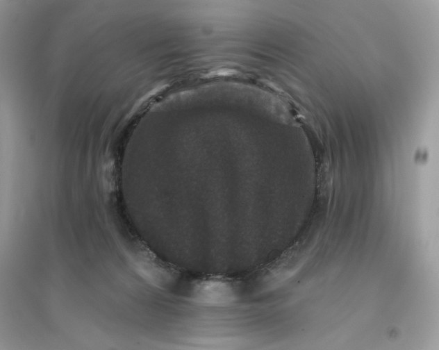 X0000096130224200802011155