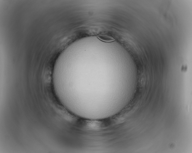X0000096130226200802011155