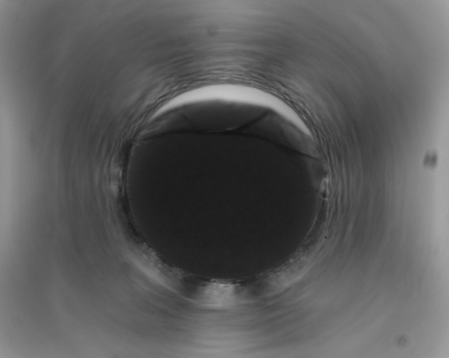X0000096130227200802011155