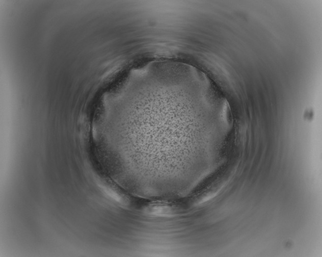 X0000096130228200802011155
