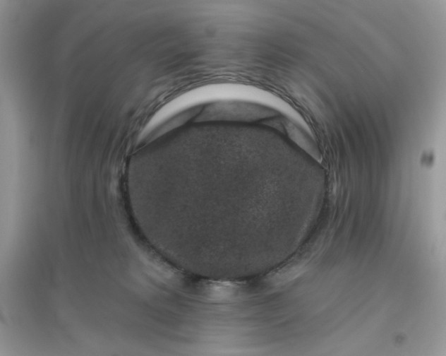 X0000096130229200802011155