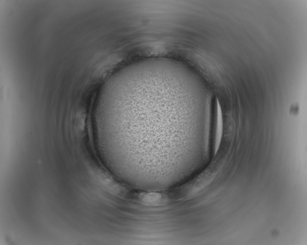 X0000096130230200802011155