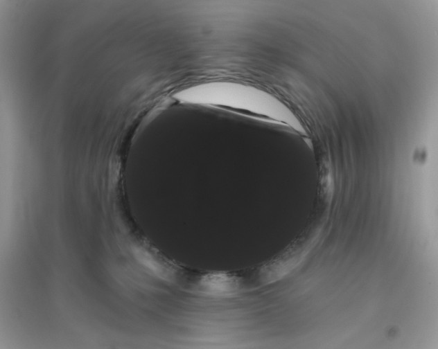 X0000096130231200802011155