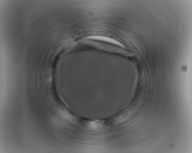 X0000096130232200802011155