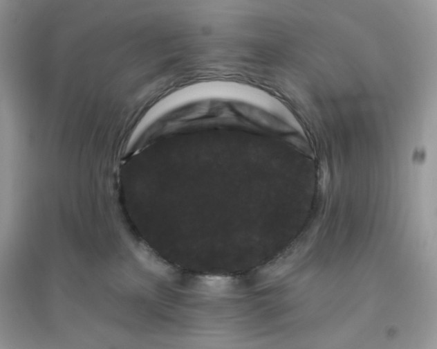 X0000096130233200802011155