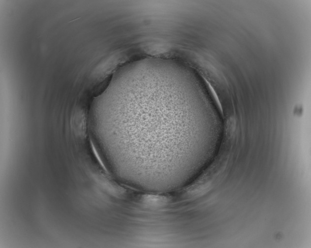 X0000096130234200802011155