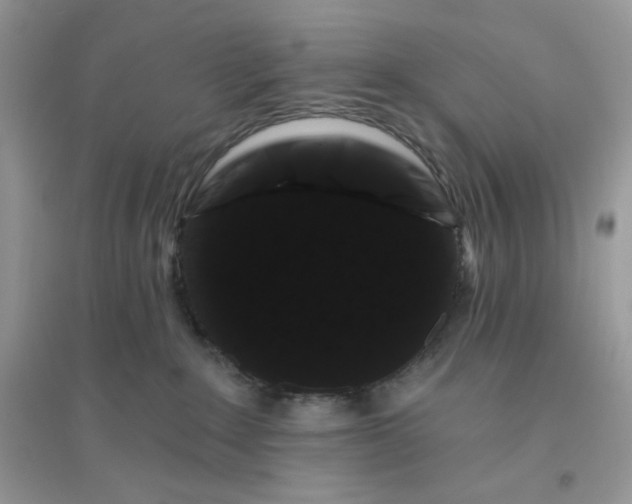 X0000096130235200802011155