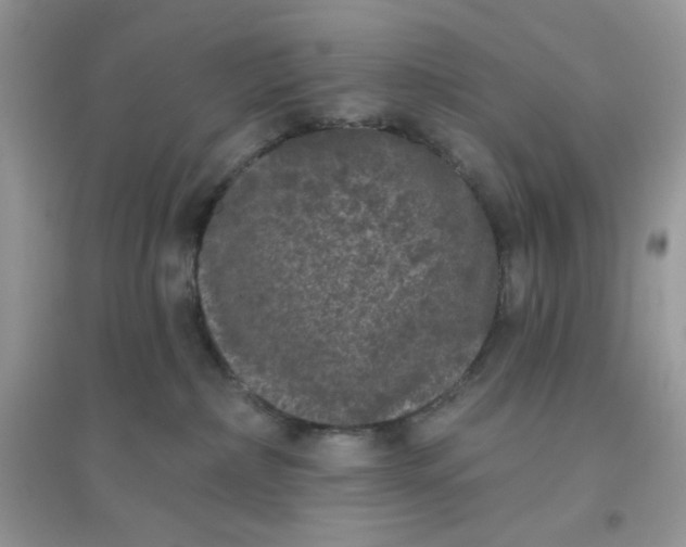 X0000096130236200802011155