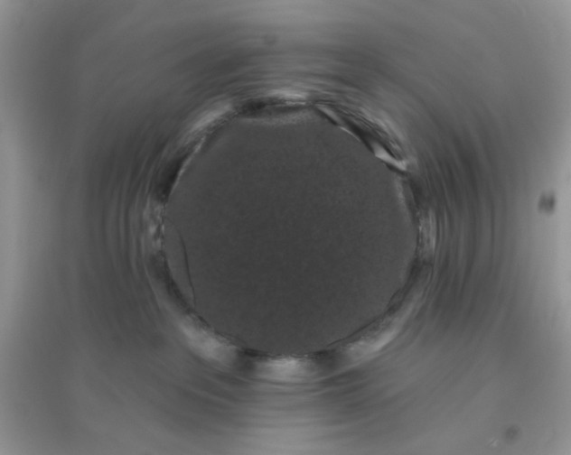 X0000096130237200802011155