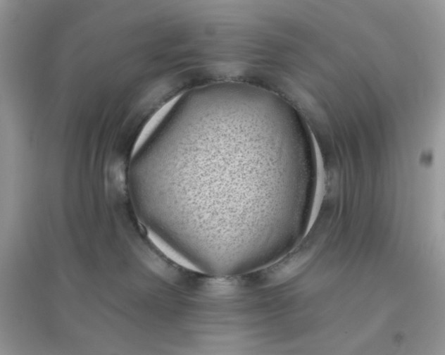 X0000096130238200802011155