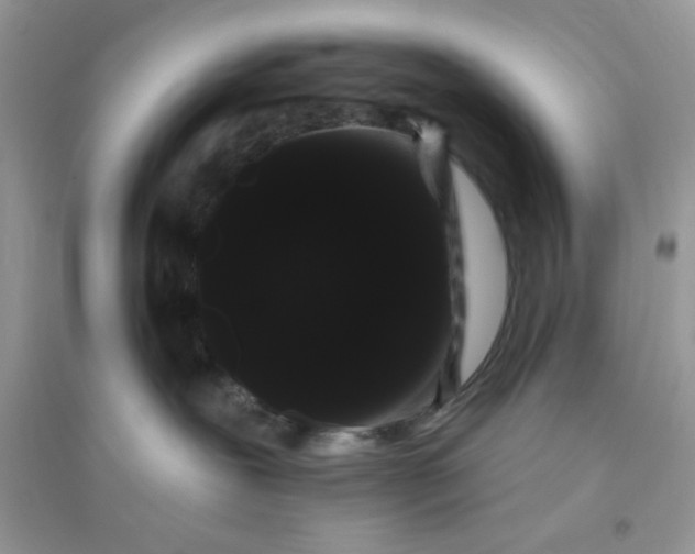 X0000096130239200802011155