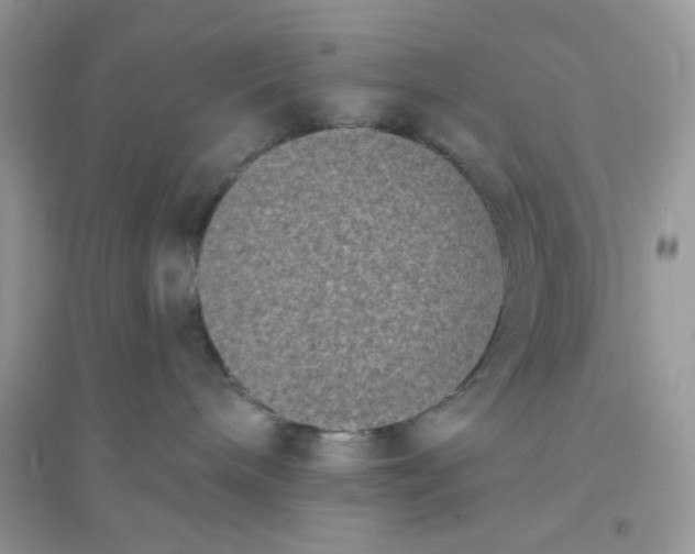 X0000096130240200802011155