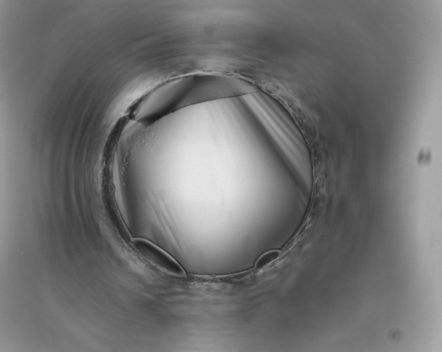 X0000096130242200802011154