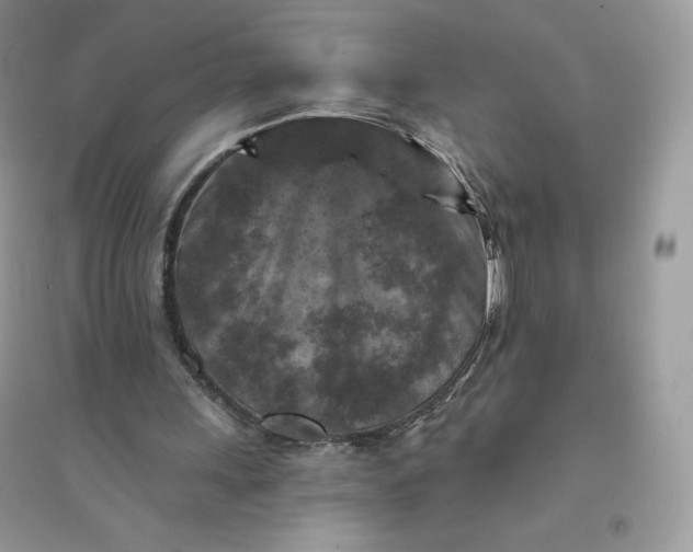 X0000096130243200802011154