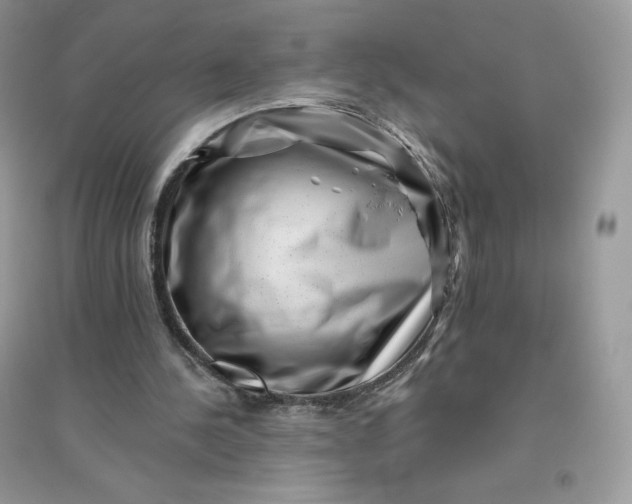 X0000096130244200802011154