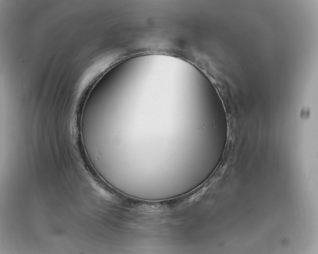 X0000096130245200802011154