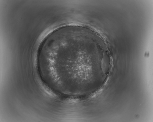 X0000096130247200802011154