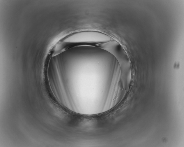 X0000096130248200802011154