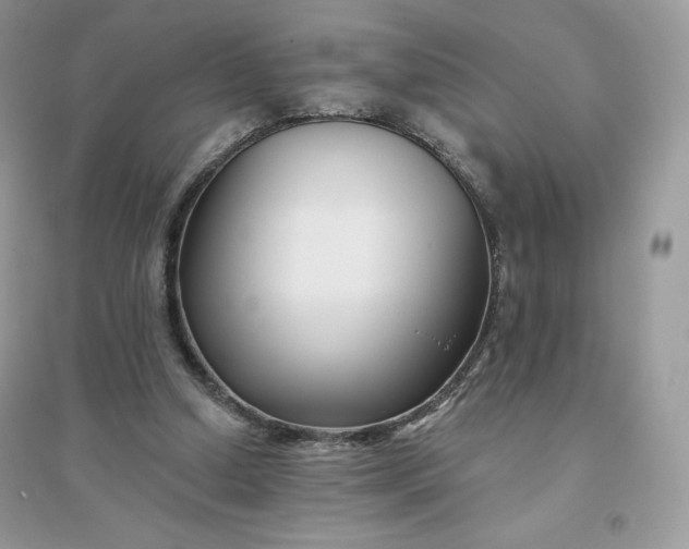 X0000096130250200802011154