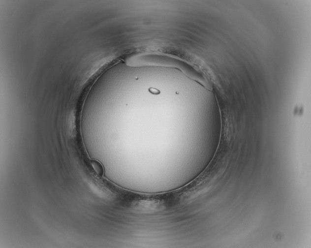 X0000096130251200802011154