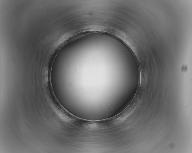 X0000096130253200802011154