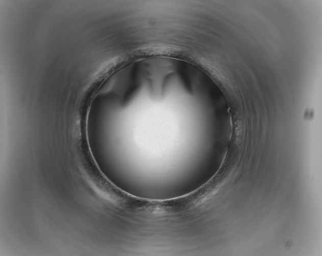 X0000096130254200802011154