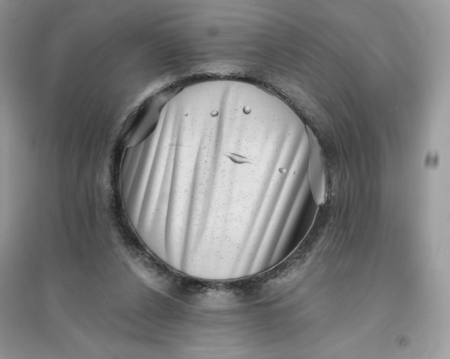 X0000096130256200802011154