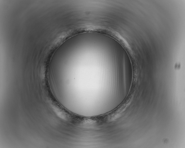 X0000096130257200802011154