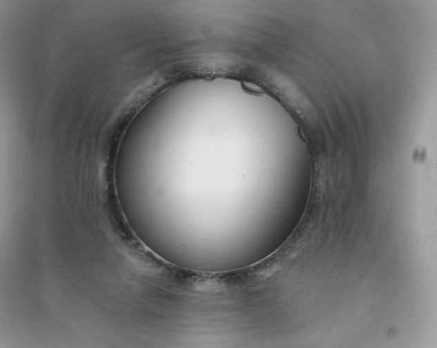 X0000096130258200802011154