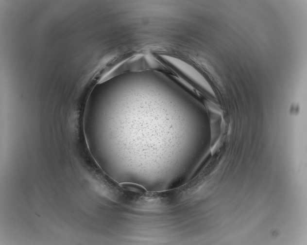 X0000096130260200802011155