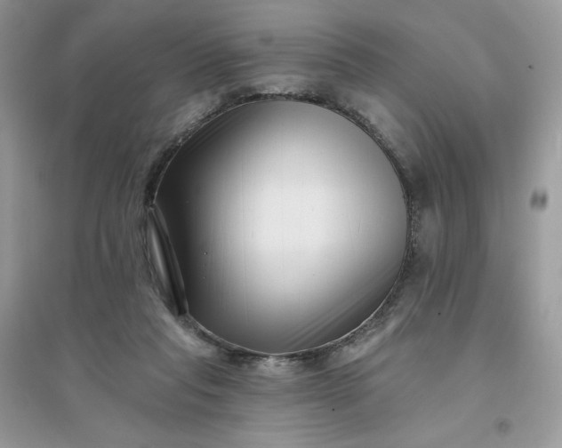 X0000096130261200802011155