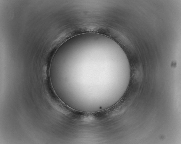 X0000096130262200802011155
