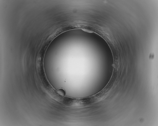 X0000096130263200802011155
