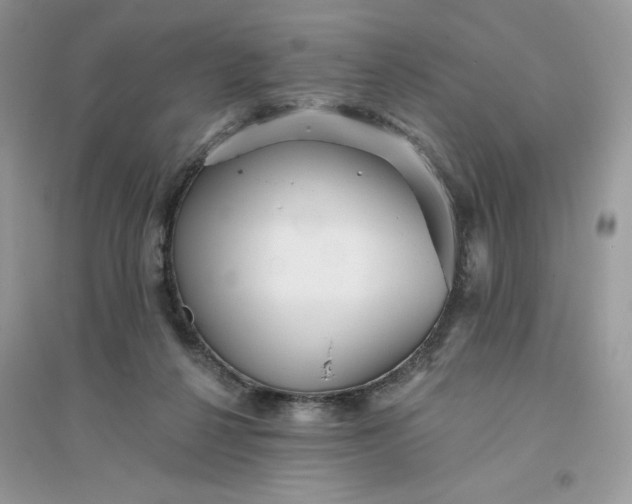 X0000096130264200802011155