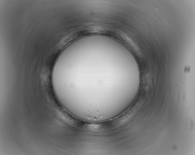 X0000096130265200802011155