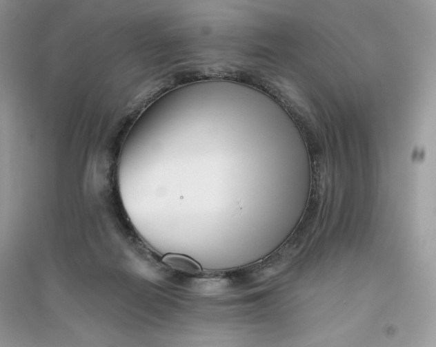 X0000096130266200802011155