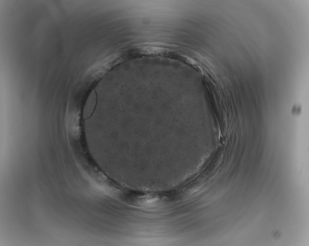 X0000096130267200802011155
