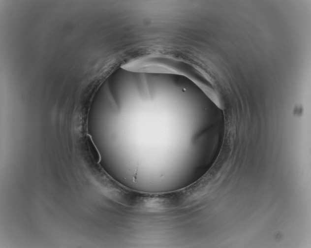 X0000096130268200802011155
