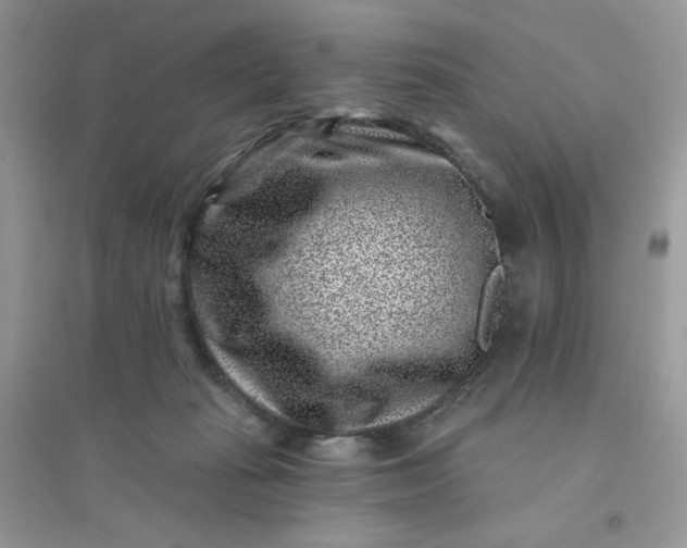 X0000096130269200802011155