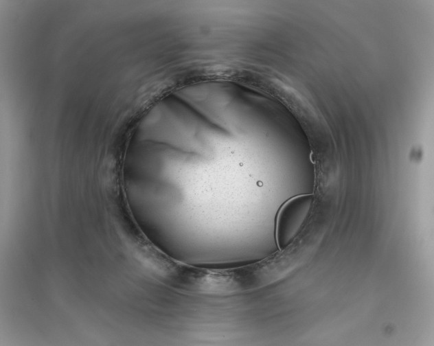 X0000096130270200802011155