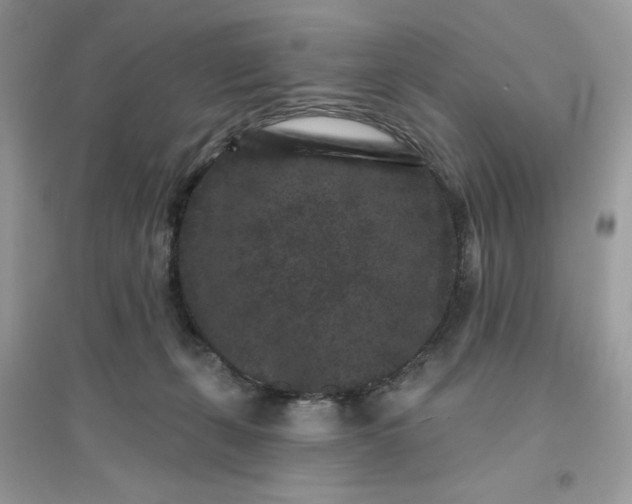 X0000096130271200802011155