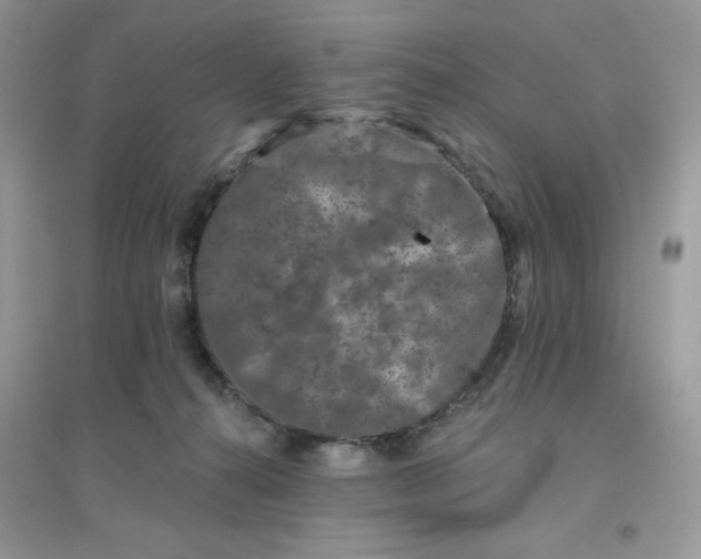 X0000096130272200802011155