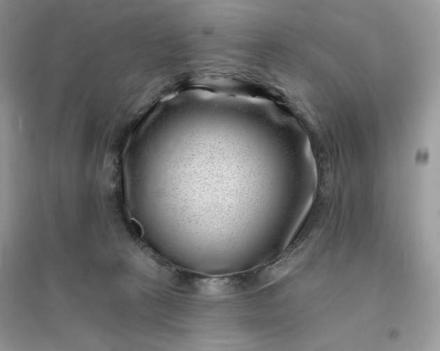 X0000096130273200802011155