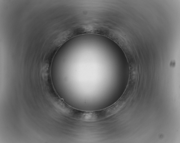 X0000096130275200802011155