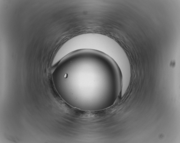 X0000096130276200802011155