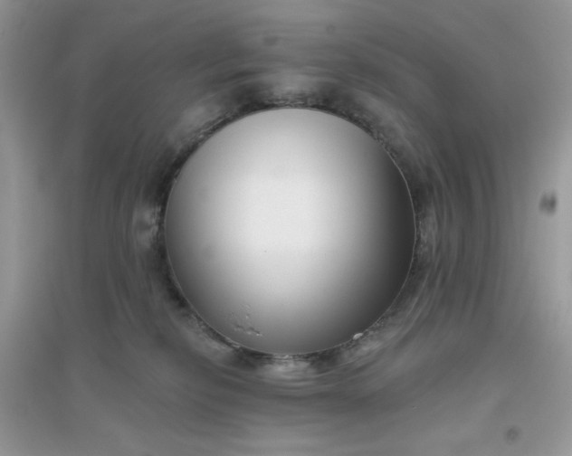 X0000096130278200802011155